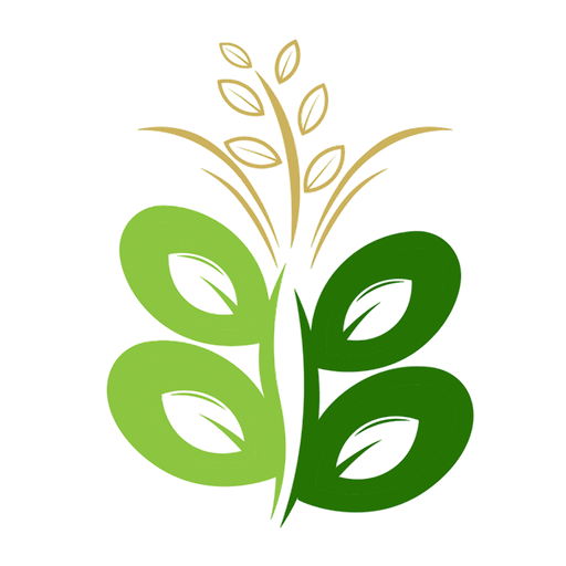 BB Farm